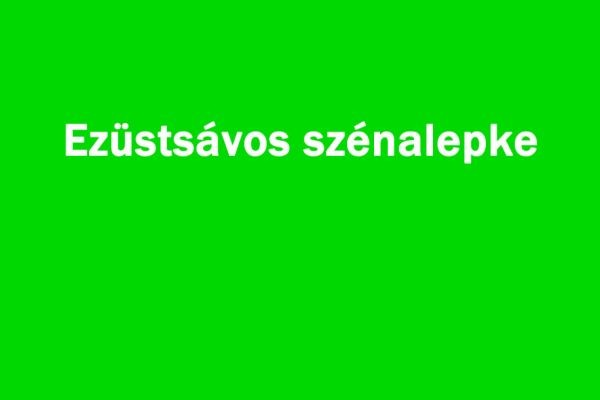 Ezüstsávos szénalepke