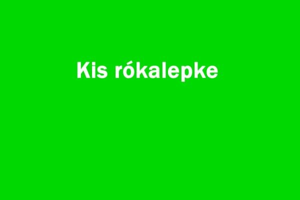 Kis rókalepke